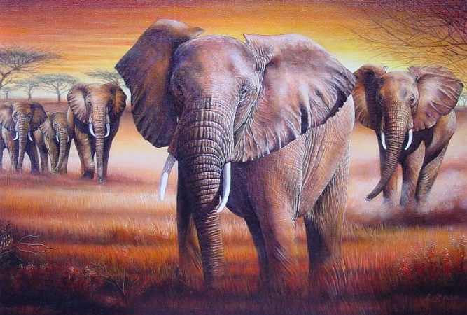 Storms in Africa (olifanten, 2005), olieverf, linnen doek, 60 x 80cm , gesigneerd r.o.